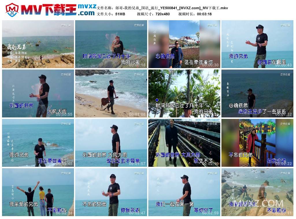 郎哥-我的兄弟_国语_流行_YE500841